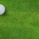 Golf ball on green grass of golf course - River Oaks Golf Course - Cottage Grove
