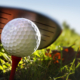 Affordable Golf Course Near Me | Minneapolis - St. Paul Metro Area | River Oaks Golf Course & Event Center in Cottage Grove, MN