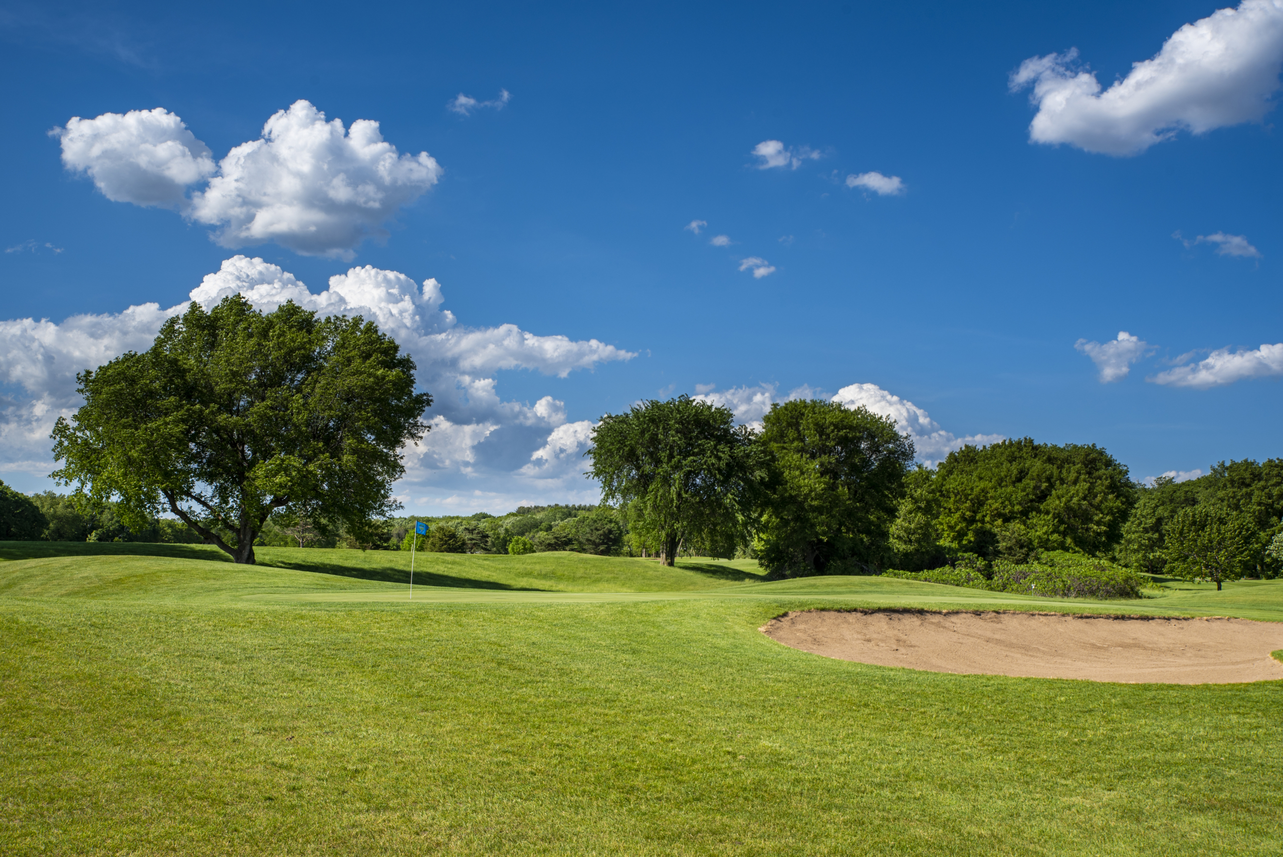 Golf Course Near Me | Minneapolis - St. Paul Metro Area | River Oaks Golf Course & Event Center in Cottage Grove, MN
